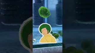 Unboxing Marimo Moss Ball Japan Plantisme &ndash; Why No Water? #marimo #aquascape