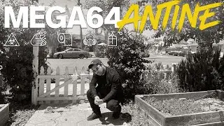 Mega64antine #5: The Great Theme Song Competition!