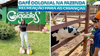 CAFÉ COLONIAL FAZENDA ITUAÚ TERRA DE GIGANTES- SALTO INTERIOR DE SP.