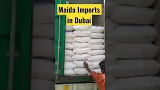 Opening Wheat flour (Maida) container in Dubai |Indian wheat flour | Dubai Importer|#easternfarmsllc