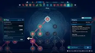 Farm 100+ Anima Shards With No Killing In Less Than 20mins - Stranger of Paradise: FF Origin