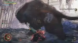 HR ( Gold Crown ) Tempered Doshaguma - MH Wilds