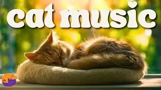 Play This for a Happy Cat 😸 Calming Lullabies Just for Cats ❤️💤