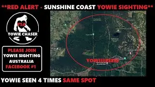 RED ALERT - BREAKING NEWS - SUNSHINE COAST YOWIE SIGHTING