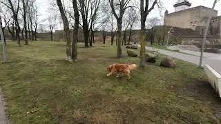 Walk and Talk mit Rufy und Benjamin am 1. Weihnachtsfeiertag