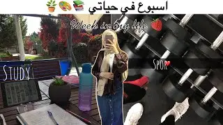 Week in my life 🪴📚🎨|ترتيب+دراسة+تسوق 🫧