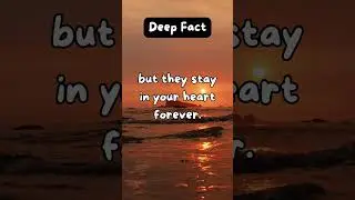 Amazing Daily Deep Facts