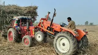dangerous tractor stunt | Belarus tractor stunt | #tractor #newholland #mtz50