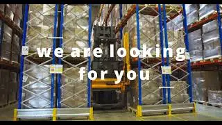 Reach Truck Driver   🚛 | Work in Holland