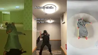 Rat Dancing TikTok Compilation