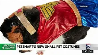 Petsmart has new small pet costumes