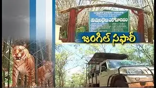 Jungle Safari | Provides An Unique Experience to Tourists | at Dornala - Srisailam Way