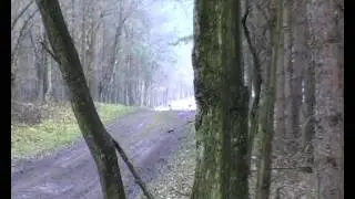 Wittenberg Rallye 2007