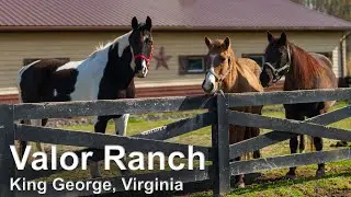 Valor Ranch in King George, VA. 4K60 Drone views.