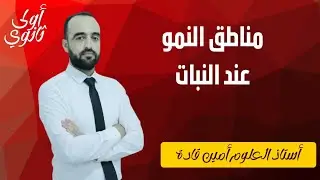 مناطق النمو عند النبات أولى ثانوي