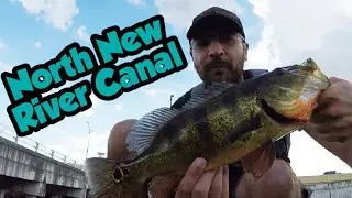 North New River Canal Fishing with Live Shiners