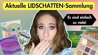 Lidschatten-Paletten Sammlung 2024 | Teil 1 | Es sind einfach zu viele!