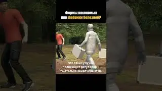 Фермы насекомых или фабрики болезней?