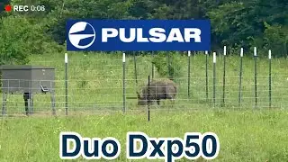 Обзор прицела Pulsar Duo Dxp50 @PulsarNV #охотанакабанов #тепловизионнаяохота #тепловизионнаяохот...