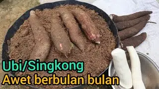 Cara menyimpan/mengawetkan ubi atau singkong agar tahan lama