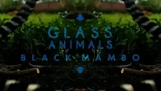 Glass Animals - 