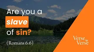 No Longer Slaves of Sin (Romans 6:6)