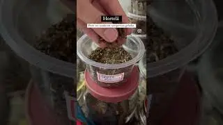 Receitas NATUREBAS para dermatites em pets al&eacute;rgicos 👇🏻 