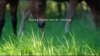 GURBE URFUTTER & DR. PETER RICHTERICH 2024