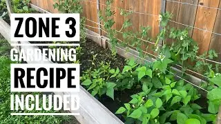 🌱 Growing Food in Zone 3 | Beginner Cold Climate Garden + Recipes 🌿
