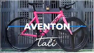 DREAM BUILD FIXED GEAR BIKE - MATARO - Aventon // TALI Bike