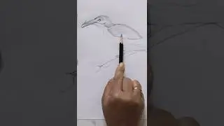 How to Draw a Beautiful Kingfisher Bird | Easy Step-by-Step Bird Drawing Tutorial 🐦