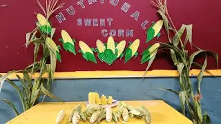 sweet corn nutri deal@creativequeen-zu9oy