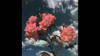 Matrix (Instrumental)