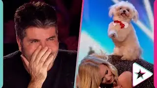 EVERY Performance of Trip Hazard on Britain's Got Talent!