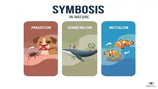 Nature&rsquo;s Roommates: Parasites, Freeloaders & Power Couples