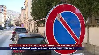 Etg - Ciliegi di via XX Settembre, ricompare il divieto di sosta. Avviata la raccolta fondi