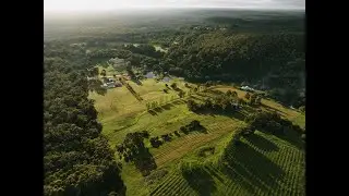 Discover Ampersand Estates | Luxury Winery Retreat in Western Australia&rsquo;s Southern Forests