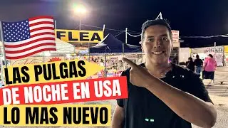 ASI SON LAS PULGAS DE NOCHE EN USA 2024 /TEXAS