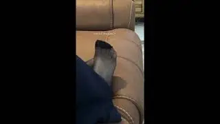 Ankle high nylon socks on sofa🥸