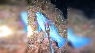 渔民赶海都能捞点啥海货