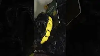 New! Dollar Tree Finds! Joe Boxer For Men Collection #follow #trendingvideo #viralvideo