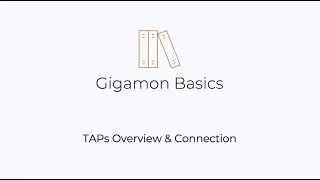 Gigamon Basics: TAPs Overview and How to Connect Them