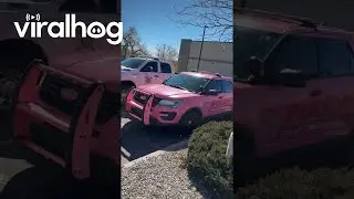 Pink Police Vehicle || ViralHog