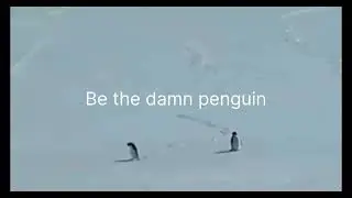 Why Is This Penguin Traveling to the Mountains?🐧, be the damn penguin! #Penguin #viralvideo #shorts