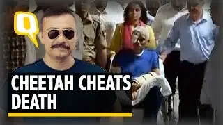 The Quint: CRPF Commandant Chetan Cheetah Cheats Death