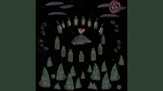 Between Loops And Trees