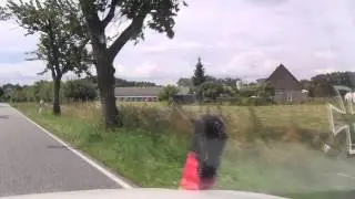 Sch&ouml;nflie&szlig; Lebus M&auml;rkisch Oderland 12.7.2013