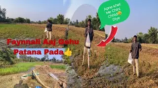 Aaj Ham Apne Gehu Ko pataya Lekin Bahut Hi Maja Aaya #Subhash Md vlogs 🔥
