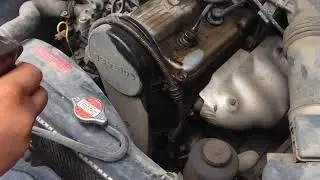 El poder de melamagic en los Autos
