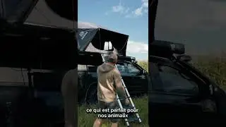 Et toi ? Tu fais monter ton chien dans ta tente de toit ?#4x4 #offroad #bivouac #vanlife#tentedetoit